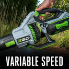 EGO POWER+ Cordless Electric Leaf Blower 765 CFM With 56V 5.0Ah Battery And Charger - LB7654