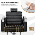 OmySalon All Purpose Reclining Hydraulic Salon Chair, 135 Degree