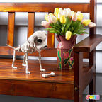 Joyfy 9.8 Inch Halloween Skeleton Dog Skeleton Halloween Decor, Pose-N-Stay Plastic Skeleton Bones with Posable Joints for Hallowmas Decoration Outdoor Haunted House Party