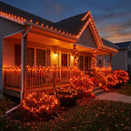 Indoor/Outdoor 50-Count LED Mini String Lights, 9.5', Halloween by Way To Celebrate