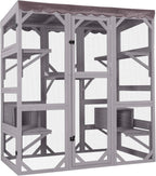 Large Walk-In Outdoor Cat Enclosure With 7 Platforms
