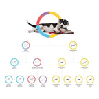 Embark Dog DNA Breed Identification Test Kit With Doggy Relative Finder