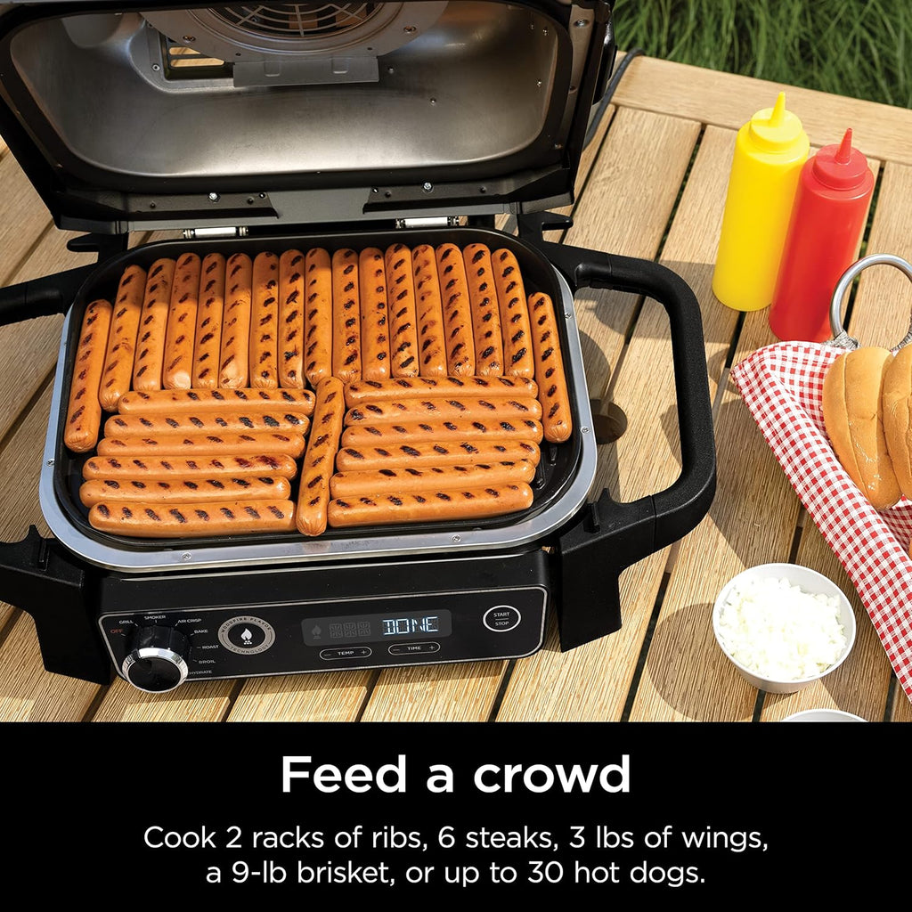Ninja Woodfire 7-in-1 141-sq-in Outdoor Electric Grill, Smoker & Air Fryer - OG701