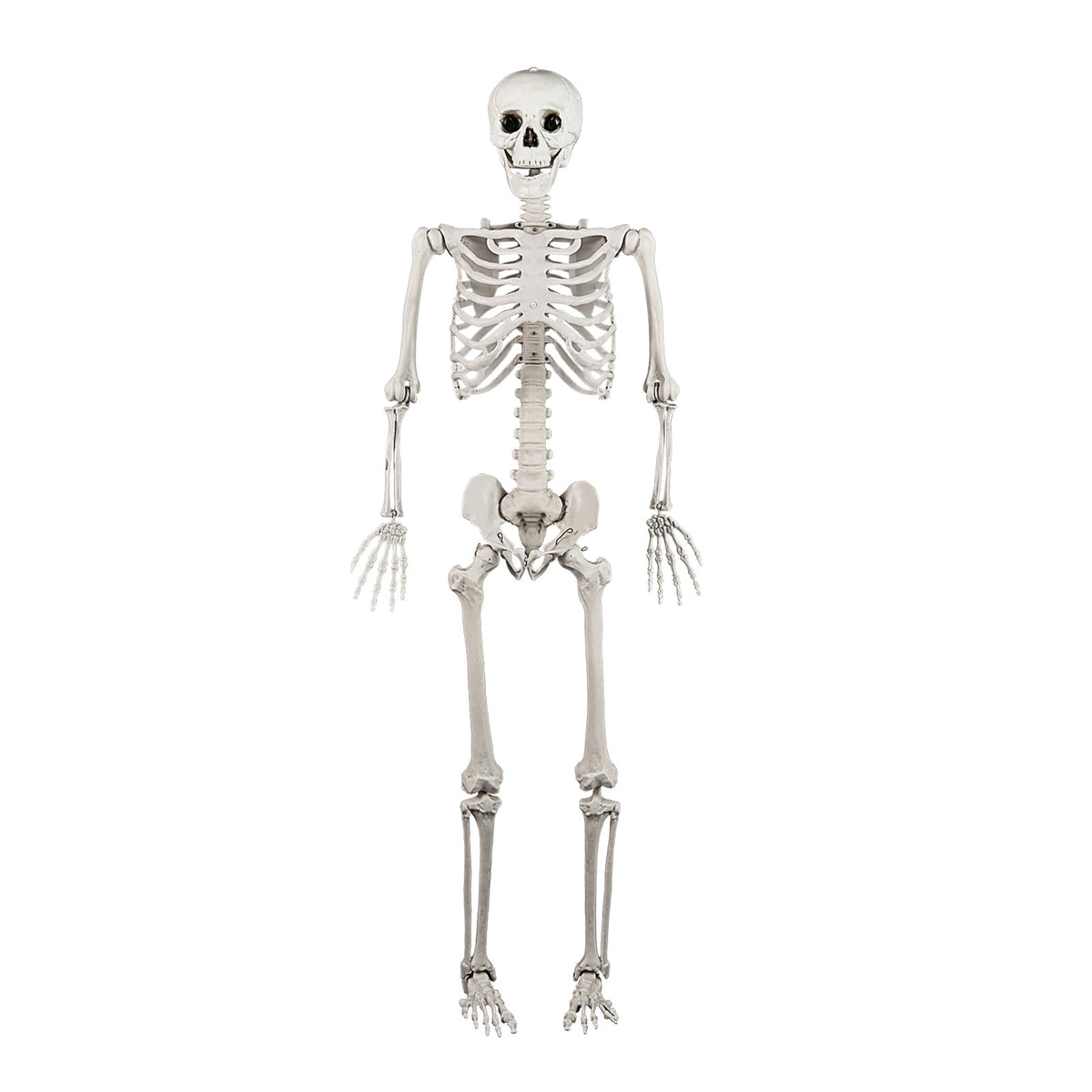 Costway 5.4 FT Halloween Skeleton Decoration Life Size Large Skeleton with Posable Joints 64.5 Inches Ivory White