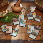 Magic: The Gathering Bloomburrow Commander Deck Bundle - 4 Decks