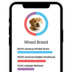 Embark Dog DNA Breed Identification Test Kit With Doggy Relative Finder