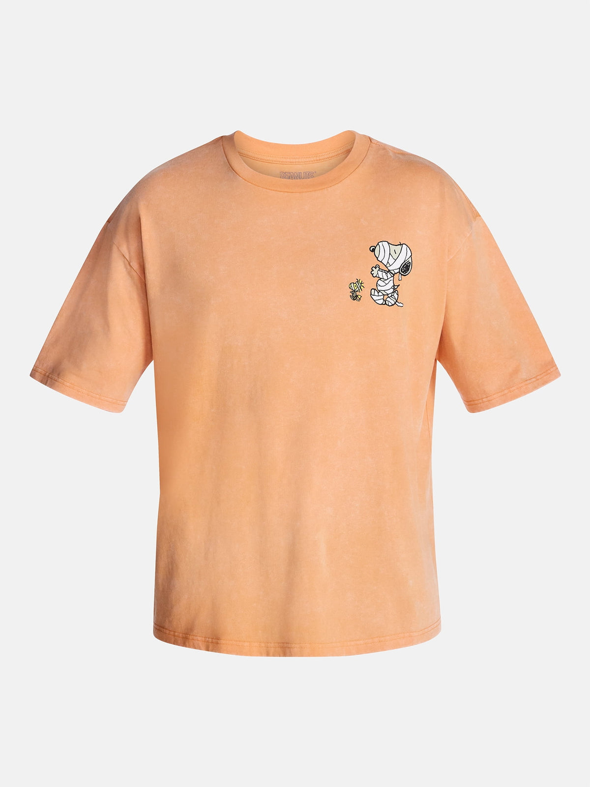 Snoopy Peanuts Men's and Big Men's Halloween Front and Back Graphic Tee, Sizes XS-5XL