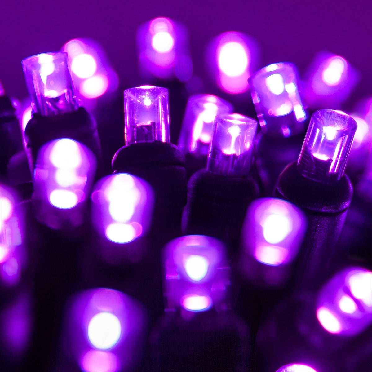 70 LED Purple and Orange String Lights for Halloween Displays Party Decoration, 24', Indoor Outdoor Black Wire