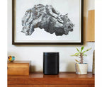 Sonos One Gen 2 Voice-Controlled Wireless Smart Speaker, Black/White