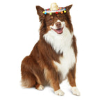 Vibrant Life Halloween Sombrero Hat Costume for Dogs and Cats, Multicolor