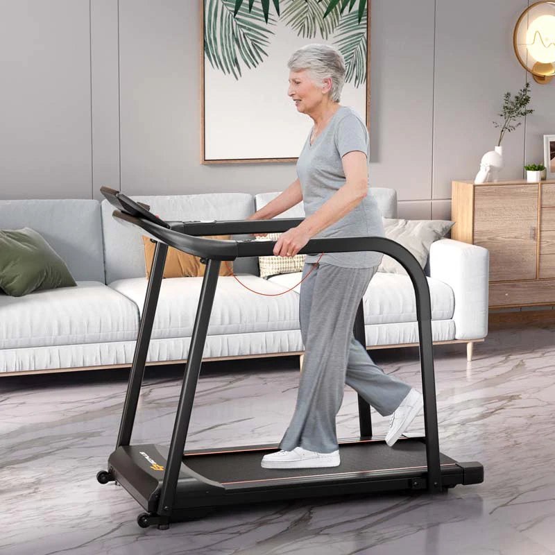 Walking Treadmill For Seniors With Long Handrails, 2.5 HP, 300 lbs Capacity, Black