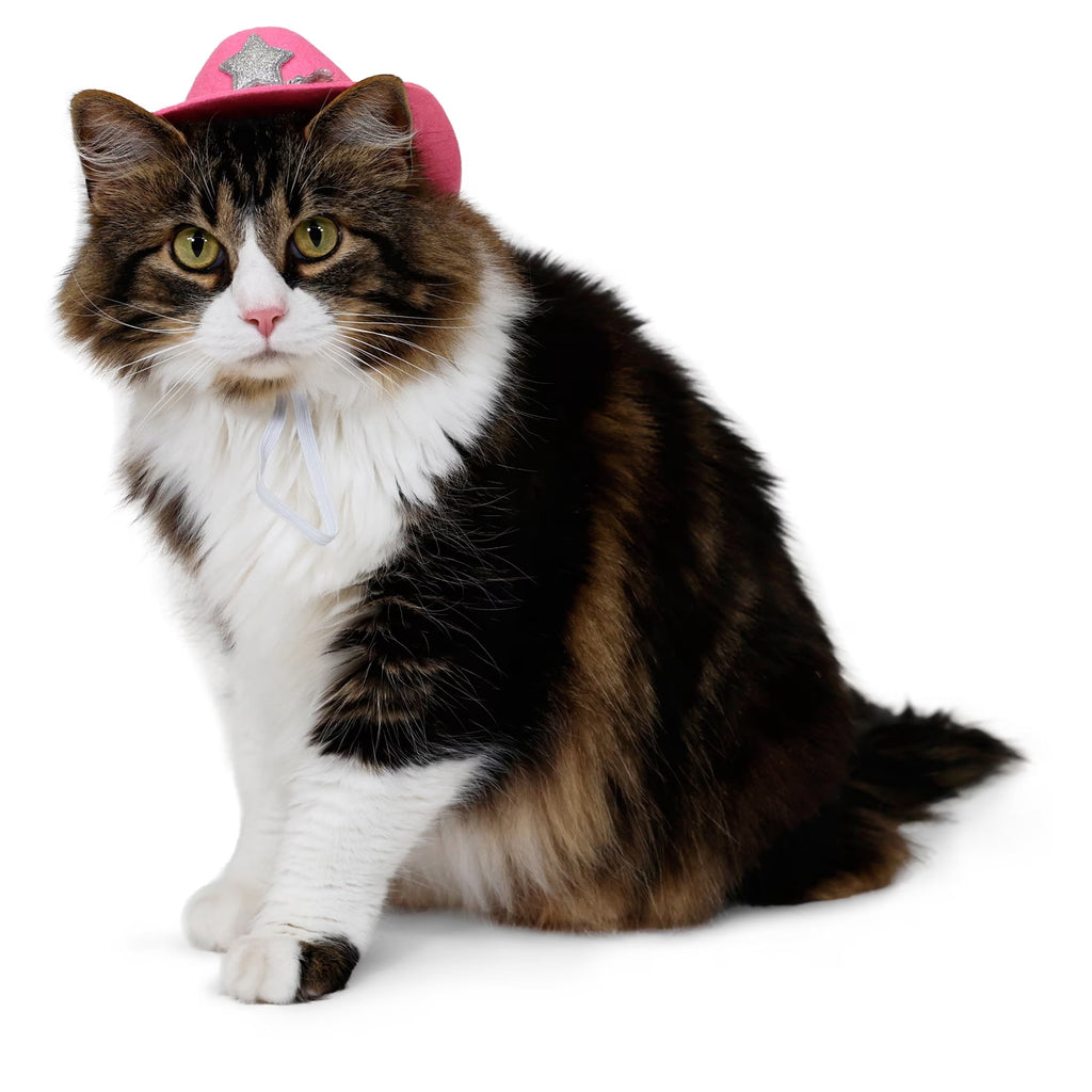 Vibrant Life Halloween Cowboy Hat Costume for Dogs and Cats, Pink