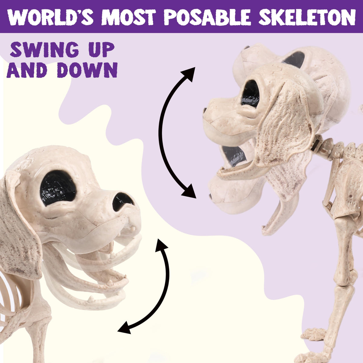 Joyfy 9.8 Inch Halloween Skeleton Dog Skeleton Halloween Decor, Pose-N-Stay Plastic Skeleton Bones with Posable Joints for Hallowmas Decoration Outdoor Haunted House Party